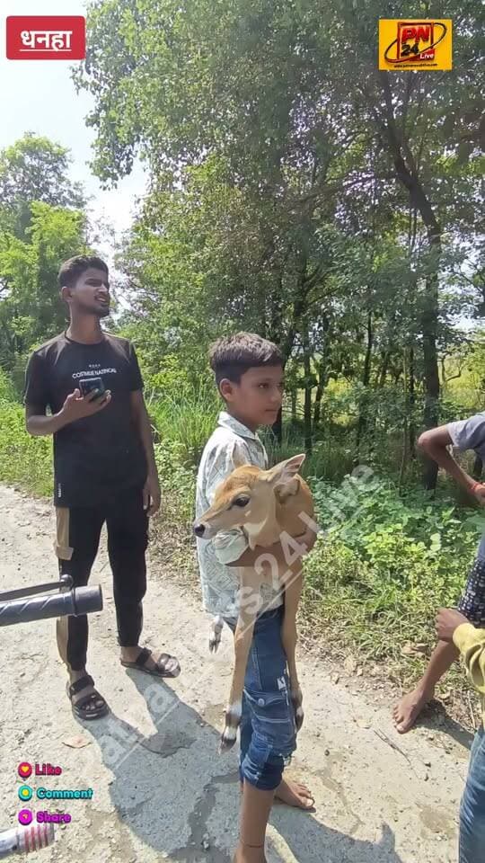 नीलगाय के बच्चे को गोद में लेकर घूमते दिखे गांव के बच्चे, गंडक नदी के उफान का असर..