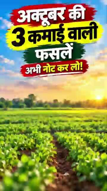 अक्टूबर में लगाएं ये 3 फसलें, होगा बंपर मुनाफा! 💰🌱 | October Farming Tips #shorts