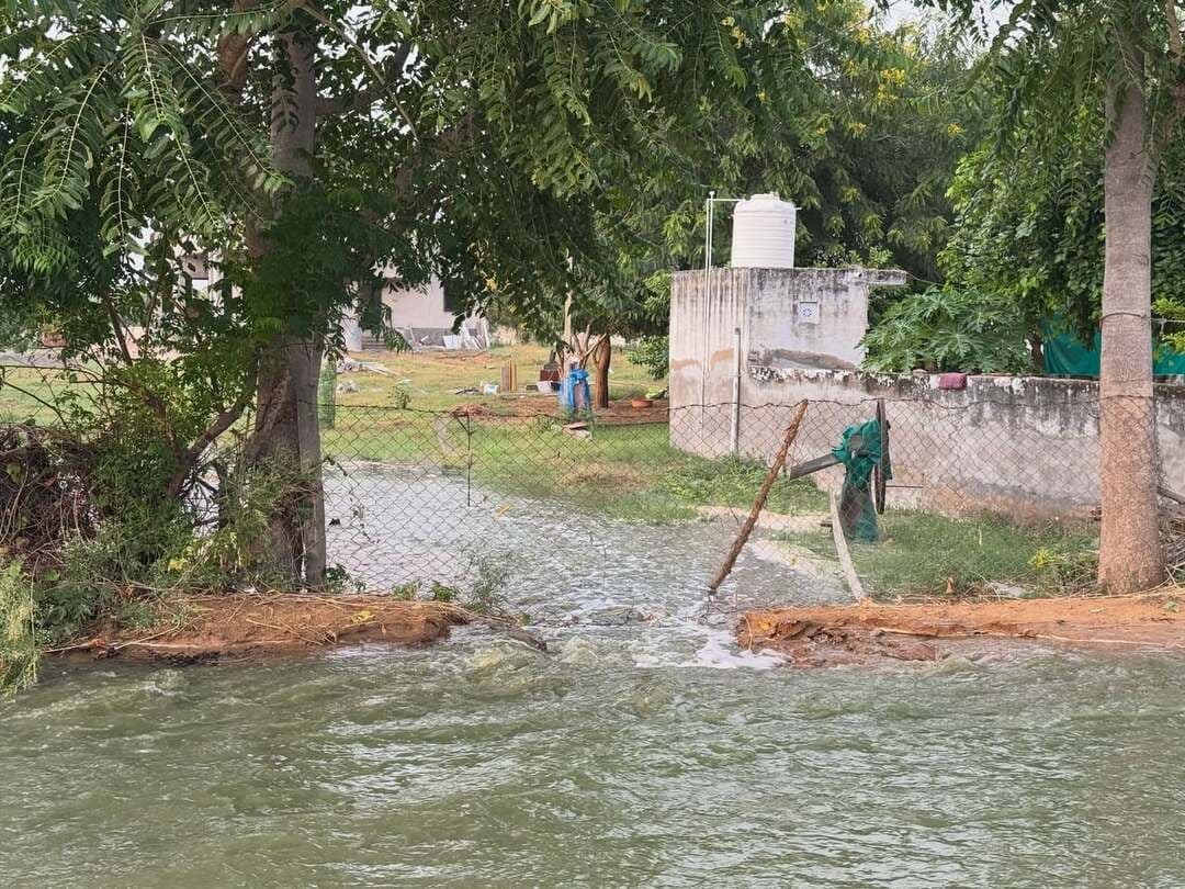 जल ही जीवन-जल ही विनाश
सीकर के गंदे पानी से नानी गाँव के खेतों में नुक़सान की एक झलक।
#SikarSandesh #Sikar #RajasthanNews