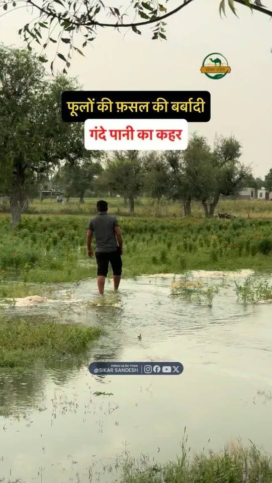 हनुमान जी पर भरोसा तो सही किया, पर शासन-प्रशासन पर…☹️
#SikarSandesh #Sikar #RajasthanNews