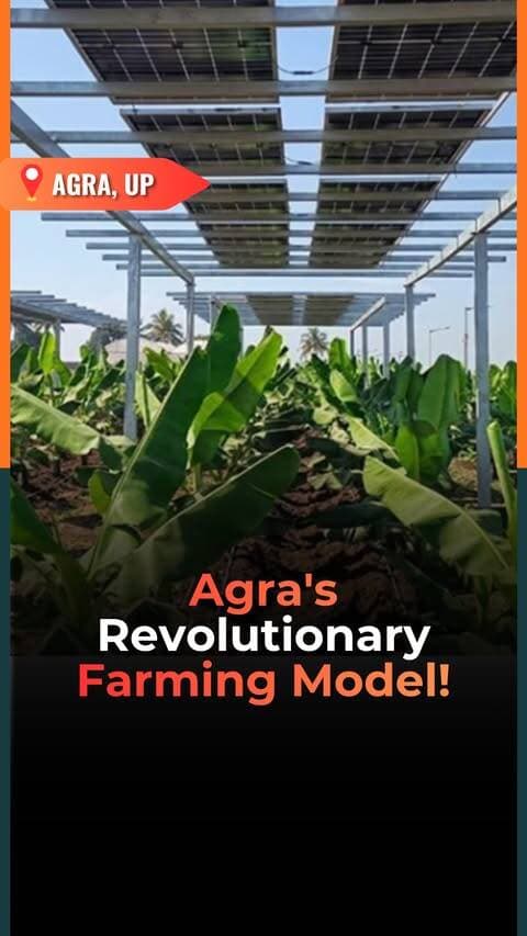 Can the same land grow both crops and electricity? 🌱☀️
At Dayalbagh Educational Institute in Agra, an interesting experiment is making this possible.
A 200 kW agrivoltaic solar plant has been installed, with solar panels mounted above the farmland while crops like chickpeas, brinjal and tomatoes grow underneath.
The panels provide shade that can help retain soil moisture and potentially reduce water requirements.
In simple terms: solar energy above, farming below, on the same land.
This model, known as Agrivoltaics or Agri PV, could give farmers another potential source of income alongside agriculture.
The vision is simple: making farmers not just Annadata, but also Urjadata.
If scaled successfully, agrivoltaics could offer an interesting way to combine food production and clean energy.
Would you like to see this model adopted on more farms across India?
Follow @vygrofficial for the latest updates!
(Agrivoltaic farming India, solar farming Agra, Dayalbagh Educational Institute, dual income for farmers, Agri PV model, solar panels agricultural land, agriculture innovation UP, Vygr News)
#VYGRNews #Agrivoltaics #AgriPV #SolarEnergy #IndianFarmers #AgriInnovation