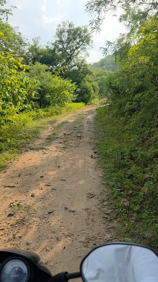 ಎಂಪಡ್ ಗುಡ್ಡಗಳ ನಡುವೆ ಪ್ರಕೃತಿ ಸೌಂದರ್ಯದ ಅನ್ವೇಷಣೆ: ಯಾದ್ಗೀರ್ ನ್ಯೂಸ್ ಸಂಪಾದಕ ಮೊಹಮ್ಮದ್ ರಫೀಕ್ ಪಟೇಲ್ ಭೇಟಿ
ಗುರುಮಠಕಲ್ ಕ್ಷೇತ್ರದ ನೈಸರ್ಗಿಕ ಸೊಬಗನ್ನು ಕಣ್ತುಂಬಿಕೊಂಡ ಯಾದ್ಗೀರ್ ನ್ಯೂಸ್ ತಂಡ
ಗುರುಮಠಕಲ್: ಯಾದಗಿರಿ ಜಿಲ್ಲೆಯ ಗುರುಮಠಕಲ್ ಮತಕ್ಷೇತ್ರದ ವ್ಯಾಪ್ತಿಗೆ ಒಳಪಡುವ ಎಂಪಡ್ (Mpad) ಗ್ರಾಮದ ಗುಡ್ಡಗಾಡು ಪ್ರದೇಶಕ್ಕೆ ಯಾದ್ಗೀರ್ ನ್ಯೂಸ್ ಸಂಪಾದಕರಾದ ಮೊಹಮ್ಮದ್ ರಫೀಕ್ ಪಟೇಲ್ ಅವರು ತಮ್ಮ ತಂಡದೊಂದಿಗೆ ಇಂದು ಭೇಟಿ ನೀಡಿದರು. ಗ್ರಾಮದ ಸುತ್ತಮುತ್ತಲಿನ ಬೆಟ್ಟ-ಗುಡ್ಡಗಳು, ಹಸಿರು ಪರಿಸರ ಹಾಗೂ ಪ್ರಕೃತಿಯ ವೈವಿಧ್ಯತೆಯನ್ನು ವೀಕ್ಷಿಸುವ ಮೂಲಕ ಸ್ಥಳೀಯ ನೈಸರ್ಗಿಕ ಸೌಂದರ್ಯವನ್ನು ಕಣ್ತುಂಬಿಕೊಂಡರು.
ಎಂಪಡ್ ಗ್ರಾಮದ ಸುತ್ತಮುತ್ತಲಿನ ಗುಡ್ಡ ಪ್ರದೇಶವು ತನ್ನದೇ ಆದ ನೈಸರ್ಗಿಕ ಸೊಬಗನ್ನು ಹೊಂದಿದೆ. ಬೆಟ್ಟ-ಗುಡ್ಡಗಳ ಸಾಲು, ಹಸಿರು ಗಿಡಮರಗಳು, ನೈಸರ್ಗಿಕ ಹಳ್ಳ-ಕೊಳ್ಳಗಳು ಹಾಗೂ ಗ್ರಾಮೀಣ ಪರಿಸರದ ನಡುವೆ ಕಂಡುಬರುವ ಸುಂದರ ದೃಶ್ಯಗಳು ಪ್ರವಾಸಿಗರ ಗಮನ ಸೆಳೆಯುವಂತಿವೆ.
ಗುಡ್ಡಗಳ ನಡುವೆ ಪ್ರಕೃತಿಯ ಸೊಬಗು
ಭೇಟಿಯ ಸಂದರ್ಭದಲ್ಲಿ ಮೊಹಮ್ಮದ್ ರಫೀಕ್ ಪಟೇಲ್ ಅವರು ಎಂಪಡ್ ಗ್ರಾಮದ ಸುತ್ತಮುತ್ತಲಿನ ಬೆಟ್ಟ-ಗುಡ್ಡ ಪ್ರದೇಶದಲ್ಲಿ ಸಂಚರಿಸಿ ಅಲ್ಲಿನ ನೈಸರ್ಗಿಕ ಸೌಂದರ್ಯವನ್ನು ವೀಕ್ಷಿಸಿದರು. ಹಸಿರು ಗಿಡಮರಗಳ ನಡುವೆ ಸಾಗುವ ದಾರಿಗಳು, ಗುಡ್ಡಗಳ ಸಾಲು ಹಾಗೂ ಪ್ರಕೃತಿಯ ಮಡಿಲಿನಲ್ಲಿರುವ ನೈಸರ್ಗಿಕ ಹಳ್ಳ-ಕೊಳ್ಳಗಳು ಸ್ಥಳೀಯ ಪರಿಸರದ ವಿಶೇಷತೆಯನ್ನು ಪರಿಚಯಿಸಿದವು.
ನಗರ ಪ್ರದೇಶಗಳ ಗದ್ದಲದಿಂದ ದೂರವಾಗಿ ಗ್ರಾಮೀಣ ಪರಿಸರದಲ್ಲಿ ಪ್ರಕೃತಿಯೊಂದಿಗೆ ಸಮಯ ಕಳೆಯುವ ಅನುಭವವು ವಿಭಿನ್ನವಾಗಿದ್ದು, ಎಂಪಡ್ ಭಾಗದ ನೈಸರ್ಗಿಕ ಸೌಂದರ್ಯವನ್ನು ಜನರಿಗೆ ಪರಿಚಯಿಸುವ ಉದ್ದೇಶದಿಂದ ಈ ಭೇಟಿಗೆ ವಿಶೇಷ ಮಹತ್ವ ನೀಡಲಾಯಿತು.
ದುರ್ಗಮ ದಾರಿಗಳಲ್ಲಿ ಸಂಚಾರ
ಗುಡ್ಡಗಾಡು ಪ್ರದೇಶಕ್ಕೆ ತೆರಳುವ ಸಂದರ್ಭದಲ್ಲಿ ಸುಗಮ ರಸ್ತೆಗಿಂತ ಕಚ್ಚಾ ರಸ್ತೆಗಳು ಹಾಗೂ ಏರು-ಇಳಿಜಾರುಗಳಿಂದ ಕೂಡಿದ ದಾರಿಗಳೇ ಹೆಚ್ಚಾಗಿ ಕಂಡುಬಂದವು. ಬೆಟ್ಟದ ಸಾಲುಗಳ ನಡುವೆ ಸಾಗುವ ದುರ್ಗಮ ದಾರಿಗಳಲ್ಲಿ ದ್ವಿಚಕ್ರ ವಾಹನದ ಮೂಲಕ ಹಾಗೂ ಕೆಲವು ಭಾಗಗಳಲ್ಲಿ ಕಾಲ್ನಡಿಗೆಯ ಮೂಲಕ ಸಂಚರಿಸಿ ಪ್ರಕೃತಿ ಸೌಂದರ್ಯವನ್ನು ವೀಕ್ಷಿಸಲಾಯಿತು.
ಈ ಸಂದರ್ಭದಲ್ಲಿ ಗುಡ್ಡ ಪ್ರದೇಶದ ವಿವಿಧ ಭಾಗಗಳ ದೃಶ್ಯಗಳನ್ನು ಚಿತ್ರೀಕರಿಸಿ, ಅಲ್ಲಿನ ನೈಸರ್ಗಿಕ ಪರಿಸರವನ್ನು ದಾಖಲಿಸಲಾಯಿತು.
ಪ್ರಕೃತಿ ಸೌಂದರ್ಯವನ್ನು ಜನರಿಗೆ ಪರಿಚಯಿಸುವ ಪ್ರಯತ್ನ
ಯಾದಗಿರಿ ಜಿಲ್ಲೆಯಲ್ಲಿ ಐತಿಹಾಸಿಕ, ಸಾಂಸ್ಕೃತಿಕ ಹಾಗೂ ನೈಸರ್ಗಿಕವಾಗಿ ವೈವಿಧ್ಯಮಯ ಪ್ರದೇಶಗಳಿದ್ದು, ಅವುಗಳಲ್ಲಿ ಗ್ರಾಮೀಣ ಭಾಗದ ಗುಡ್ಡಗಾಡು ಪ್ರದೇಶಗಳೂ ವಿಶೇಷ ಸ್ಥಾನ ಪಡೆದಿವೆ. ಆದರೆ ಇಂತಹ ಅನೇಕ ಪ್ರದೇಶಗಳು ಇನ್ನೂ ಹೆಚ್ಚಿನ ಜನರಿಗೆ ಪರಿಚಿತವಾಗಿಲ್ಲ.
ಈ ಹಿನ್ನೆಲೆಯಲ್ಲಿ ಗುರುಮಠಕಲ್ ಕ್ಷೇತ್ರ ವ್ಯಾಪ್ತಿಯ ಎಂಪಡ್ ಗ್ರಾಮದ ಗುಡ್ಡ ಪ್ರದೇಶದ ನೈಸರ್ಗಿಕ ಸೌಂದರ್ಯವನ್ನು ಜನರಿಗೆ ಪರಿಚಯಿಸುವ ನಿಟ್ಟಿನಲ್ಲಿ ಯಾದ್ಗೀರ್ ನ್ಯೂಸ್ ತಂಡದ ಭೇಟಿ ಗಮನಾರ್ಹವಾಗಿತ್ತು.
ಪರಿಸರ ಸಂರಕ್ಷಣೆಯ ಅಗತ್ಯ
ಪ್ರಕೃತಿ ಸೌಂದರ್ಯವನ್ನು ಆಸ್ವಾದಿಸುವುದರ ಜೊತೆಗೆ, ಇಂತಹ ಪ್ರದೇಶಗಳ ಪರಿಸರವನ್ನು ಸಂರಕ್ಷಿಸುವ ಜವಾಬ್ದಾರಿಯೂ ಪ್ರತಿಯೊಬ್ಬರ ಮೇಲಿದೆ. ಗುಡ್ಡ ಪ್ರದೇಶಗಳಲ್ಲಿ ಪ್ಲಾಸ್ಟಿಕ್ ಹಾಗೂ ಇತರ ತ್ಯಾಜ್ಯಗಳನ್ನು ಎಸೆಯದೆ, ನೈಸರ್ಗಿಕ ಸಂಪನ್ಮೂಲಗಳಿಗೆ ಹಾನಿಯಾಗದಂತೆ ಪ್ರವಾಸ ಹಾಗೂ ಸಂಚಾರ ನಡೆಸುವುದು ಅಗತ್ಯವಾಗಿದೆ.
ಎಂಪಡ್ ಗ್ರಾಮದಂತಹ ನೈಸರ್ಗಿಕ ಸೊಬಗನ್ನು ಹೊಂದಿರುವ ಪ್ರದೇಶಗಳನ್ನು ಪರಿಚಯಿಸುವುದರೊಂದಿಗೆ, ಅವುಗಳ ಸ್ವಚ್ಛತೆ ಮತ್ತು ಪರಿಸರ ಸಂರಕ್ಷಣೆಯ ಕುರಿತು ಸಾರ್ವಜನಿಕರಲ್ಲಿ ಜಾಗೃತಿ ಮೂಡಿಸುವುದು ಕೂಡ ಮಹತ್ವದ್ದಾಗಿದೆ.
ಯಾದ್ಗೀರ್ ನ್ಯೂಸ್ ಸಂಪಾದಕ ಮೊಹಮ್ಮದ್ ರಫೀಕ್ ಪಟೇಲ್ ಅವರ ಎಂಪಡ್ ಗ್ರಾಮದ ಗುಡ್ಡಗಾಡು ಪ್ರದೇಶದ ಭೇಟಿ, ಗುರುಮಠಕಲ್ ಕ್ಷೇತ್ರದ ಗ್ರಾಮೀಣ ಭಾಗದಲ್ಲಿರುವ ಪ್ರಕೃತಿಯ ಸೊಬಗನ್ನು ಮತ್ತೊಮ್ಮೆ ಬೆಳಕಿಗೆ ತರುವಂತಾಯಿತು. ಪ್ರಕೃತಿಯ ಮಡಿಲಿನಲ್ಲಿ ನಡೆದ ಈ ಭೇಟಿ ಸ್ಥಳೀಯ ನೈಸರ್ಗಿಕ ಸೌಂದರ್ಯವನ್ನು ದಾಖಲಿಸುವ ಜೊತೆಗೆ, ಜಿಲ್ಲೆಯಲ್ಲಿರುವ ಇಂತಹ ಸುಂದರ ಪ್ರದೇಶಗಳನ್ನು ಜನರಿಗೆ ಪರಿಚಯಿಸುವ ಪ್ರಯತ್ನಕ್ಕೂ ಸಾಕ್ಷಿಯಾಯಿತು.
#YadgirNews #ಯಾದ್ಗೀರ್ನ್ಯೂಸ್ #Mpad #ಎಂಪಡ್ #Gurumitkal #ಗುರುಮಠಕಲ್ #Yadgir #ಯಾದಗಿರಿ #Nature #ಪ್ರಕೃತಿಸೌಂದರ್ಯ #NatureLovers #Environment #ಪರಿಸರ #KalyanaKarnataka