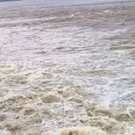 गंडक ने बढ़ाई बिहार की टेंशन, बराज से छोड़ा गया 5.43 लाख क्यूसेक पानी, चंपारण के गांवों में घुसा पानी..
✍️ अतीश दीपंकर |
Bihar Flood Alert: बिहार में बाढ़ का संकट एक बार फिर गहराने लगा है. नेपाल के तराई इलाकों में लगातार हो रही मूसलाधार बारिश से गंडक नदी उफान पर है. वाल्मीकिनगर गंडक बराज से 5 लाख 43 हजार क्यूसेक से ज्यादा पानी छोड़ा गया है. लगातार भारी डिस्चार्ज से नदी का जलस्तर खतरे के निशान के पार पहुंच गया है.
इसका सबसे ज्यादा असर गंडक के तटवर्ती इलाकों में दिख रहा है. पूर्वी चंपारण के अरेराज अनुमंडल में बाढ़ का खतरा बढ़ गया है. वहीं, बगहा शहर में भी बाढ़ का पानी प्रवेश कर चुका है.
अरेराज के दर्जनों गांवों पर बाढ़ और कटाव का खतरा
दो दिनों से लगातार पानी छोड़े जाने के बाद अरेराज अनुमंडल के गंडक दियारा और तटीय इलाकों में स्थिति संवेदनशील हो गई है. सोमवार सुबह तक कई इलाकों में बाढ़ का खतरा बढ़ने की आशंका है.
सरेया, मिश्रौलिया, पुछरिया, बिंद टोली और नवादा समेत निचले इलाकों में पानी पहुंचने लगा है. खेतों में बाढ़ का पानी घुस गया है. बस्तियों में भी पानी आने का खतरा बना हुआ है.
ग्रामीण मवेशियों और जरूरी सामान को सुरक्षित स्थानों पर ले जाने की तैयारी कर रहे हैं. लोगों में चिंता और दहशत का माहौल है.`
चंपारण से वैशाली तक तटबंधों की निगरानी
जल संसाधन विभाग ने सभी क्षेत्रीय अधिकारियों को अलर्ट रहने का निर्देश दिया है. चंपारण से वैशाली तक तटबंधों की लगातार निगरानी की जा रही है.
अरेराज एसडीएम सुजीत कुमार खुद प्रभावित इलाकों का जायजा ले रहे हैं. उन्होंने संवेदनशील तटबंधों का स्थलीय निरीक्षण भी किया है. अधिकारियों को कटाव और रिसाव पर 24 घंटे नजर रखने का निर्देश दिया गया है.
सीओ ने ग्रामीणों से की सुरक्षित जगह जाने की अपील
अरेराज सीओ विनोद कुमार पाण्डेय राजस्व कर्मियों के साथ तटीय गांवों में लगातार संपर्क कर रहे हैं. वह ग्रामीणों से स्थिति की जानकारी ले रहे हैं.
सीओ ने लोगों से प्रशासन के निर्देशों का पालन करने की अपील की है. निचले इलाकों में रहने वाले लोगों को सुरक्षित स्थानों पर जाने को कहा गया है.
नावें रिजर्व, राहत-बचाव की तैयारी तेज
संभावित बाढ़ से निपटने के लिए सरकारी और निजी नावों को रिजर्व रखा गया है. प्रभावित लोगों के लिए सामुदायिक रसोई की तैयारी की जा रही है. शुद्ध पेयजल और मेडिकल टीमों की भी व्यवस्था की जा रही है. प्रशासन का कहना है कि हर स्थिति से निपटने के लिए तैयारी पूरी रखी गई है.
बगहा के कई इलाकों में घरों में घुसा पानी
पश्चिमी चंपारण में भी गंडक का असर तेज है. वाल्मीकिनगर, बगहा-2, बगहा-1, पिपरासी, मधुबनी, ठकराहा, भितहा, योगापट्टी, बैरिया और नौतन के दियारा क्षेत्रों में सैकड़ों घरों में पानी घुस गया है. बगहा-वाल्मीकिनगर पथ भी पानी में डूब गया है. इससे लोगों की परेशानी बढ़ गई है.
VTR में भी फैला बाढ़ का पानी
वाल्मीकिनगर टाइगर रिजर्व यानी VTR के जंगल क्षेत्र में भी पानी फैल गया है. पानी बढ़ने के कारण जंगली जानवर जंगल से बाहर निकलकर सुरक्षित ठिकानों की तलाश कर रहे हैं.
गंडक के साथ इन नदियों का भी बढ़ा जलस्तर
गंडक के अलावा बागमती और कोसी नदी का जलस्तर भी बढ़ रहा है. पूर्वी चंपारण, मधुबनी, दरभंगा, सुपौल और सहरसा के कई गांव प्रभावित हुए हैं. नदी किनारे और निचले इलाकों में रहने वाले लोगों से सतर्क रहने की अपील की गई है. प्रशासन और जल संसाधन विभाग की टीमें लगातार स्थिति पर नजर बनाए हुए हैं.
गंडक ने बढ़ाई बिहार की टेंशन, बराज से छोड़ा गया 5.43 लाख क्यूसेक पानी, चंपारण के गांवों में घुसा पानी https://imnb.org/?p=250985
एजेंसी
IMNB
इंडिया मीडिया नेटवर्क ब्यूरो