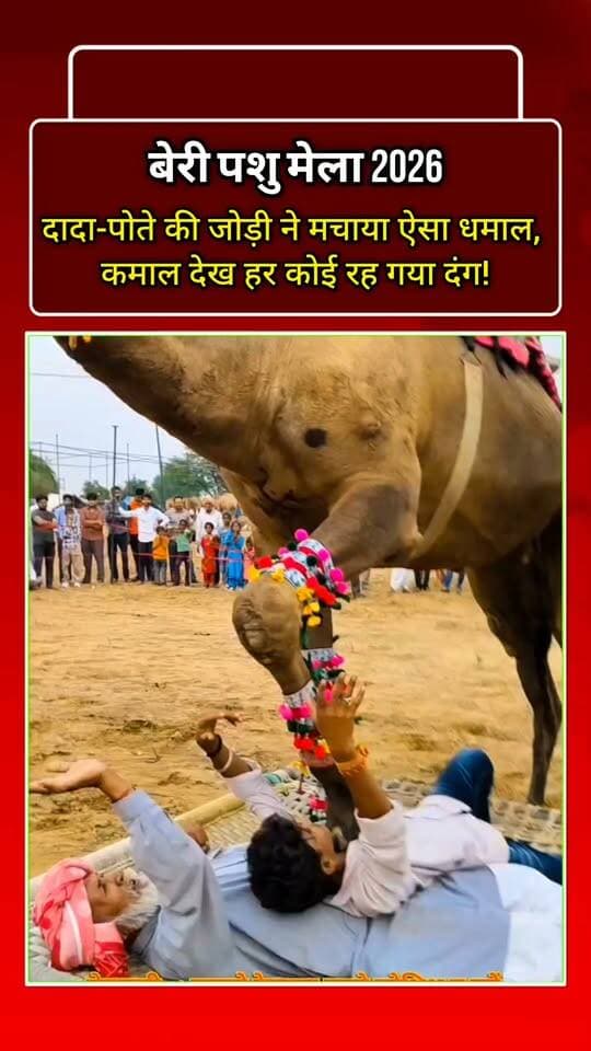 दादा-पोते की जोड़ी ने मचाया ऐसा धमाल, कमाल देख हर कोई रह गया दंग!