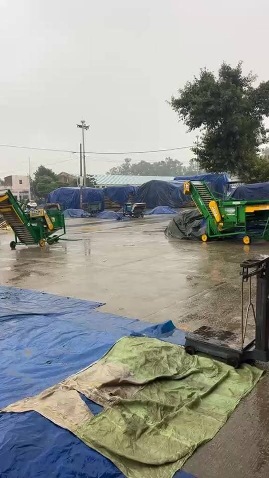 बाबैन क्षेत्र में हुई बैमोसमी बरसात ने बढ़ाई किसानों की चिंता
