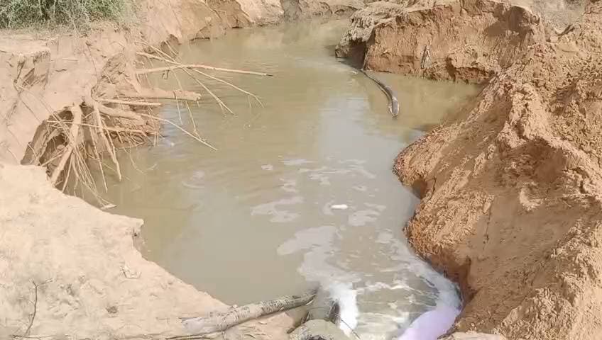 गैनाणी का पानी खेत में घुसा, फसल खराब !
समय रहते समाधान नहीं हुआ तो हादसे की आशंका, प्रशासन को कई बार अवगत कराने के बावजूद स्थायी समाधान नहीं
चूरू। भानीनाथ आश्रम के पास गैनाणी की सप्लाई पाइपलाइन से पानी बाहर निकलने के कारण आसपास के क्षेत्र में गंदा पानी फैल गया। पानी खेत में घुसने से देवनाथ के खेत में खड़ी फसल को बड़े पैमाने पर नुकसान पहुंचने की आशंका हो गई। खेत में पानी भरने के साथ आसपास के क्षेत्र में भी जलभराव की स्थिति बन गई।
जानकारी के अनुसार रविवार रात देवनाथ के खेत में दो मजदूर काम कर रहे थे। इसी दौरान उन्होंने खेत में गैनाणी का पानी आते देखा और इसकी सूचना आश्रम में देवनाथ महाराज को दी। इसके बाद स्थानीय लोगों की मदद से पानी को रोकने का प्रयास किया गया।
आश्रम के कमलनाथ ने बताया कि पाइपलाइन से पानी फैलने की समस्या के संबंध में प्रशासन और नगर परिषद को कई बार अवगत कराया जा चुका है, लेकिन अब तक इसका स्थायी समाधान नहीं हो पाया है। उन्होंने कहा कि यदि समय रहते समस्या का समाधान नहीं किया गया तो भविष्य में बड़ा हादसा हो सकता है।
राहत की बात यह रही कि इस घटना में किसी तरह की जनहानि नहीं हुई। स्थानीय लोगों ने प्रशासन और नगर परिषद से पाइपलाइन की समस्या का स्थायी समाधान करवाने तथा खेतों में हुए नुकसान का जायजा लेने की मांग की है।
#tharkiawaazajay #churu #nagarparishad #ChuruNews #sherugoyanka