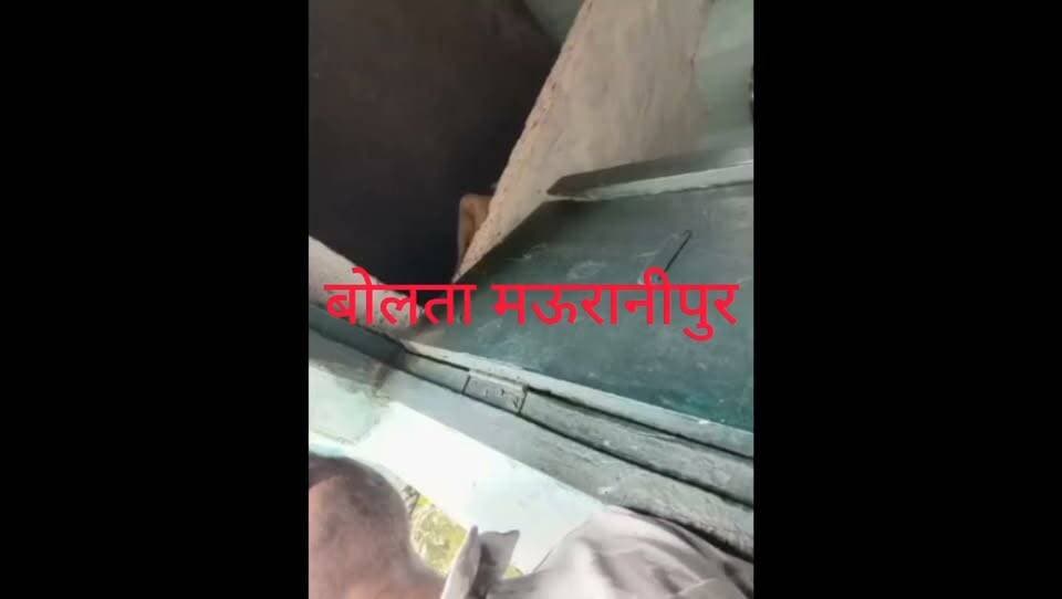 हमीरपुर सोशल मीडिया पर वायरल वीडियो खुले आम बेचे जा रहे प्रतिबंध नशा के पदार्थ वायरल वीडियो में खुलेआम गांजा बेचा जा रहा वायरल वीडियो राठ और सरीला का बताया जा रहा