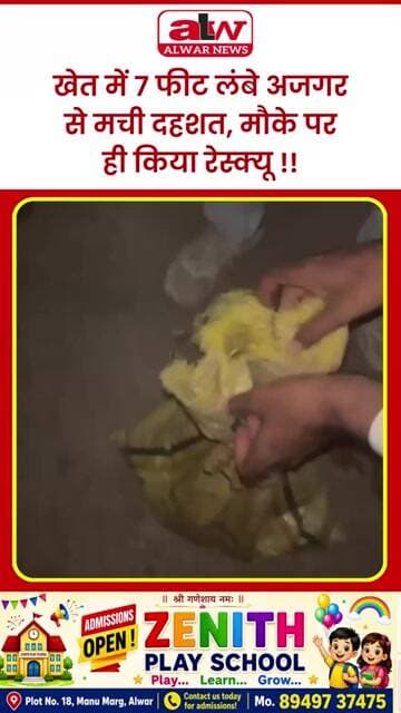 खेत में 7 फीट लंबे अजगर से मची दहशत, मौके पर ही किया रेस्क्यू !! #alwarnews #shorts #trending