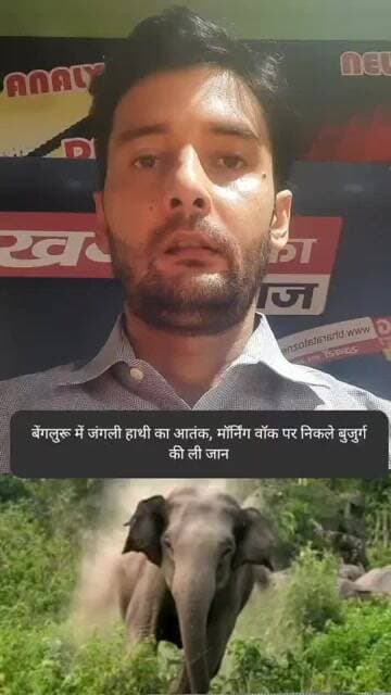 बेंगलुरू में जंगली हाथी का आतंक, मॉर्निंग वॉक पर निकले बुजुर्ग की ली जान