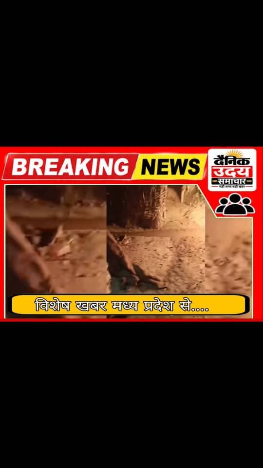 Bignews :आग के बीच नहीं डगमगाया हौसला, आरक्षकों ने बचाई कई जिंदगियां!
ऊमरी थाना अंतर्गत ढोंचरा गांव में गैस सिलेंडर ने पकड़ी आग, शिवम तोमर-अमित ने दिखाया अदम्य साहस। #bhind #भिंडन्यूज़ #BhindNews #भिंड SP BHIND Collector Office Bhind PRO Bhind
