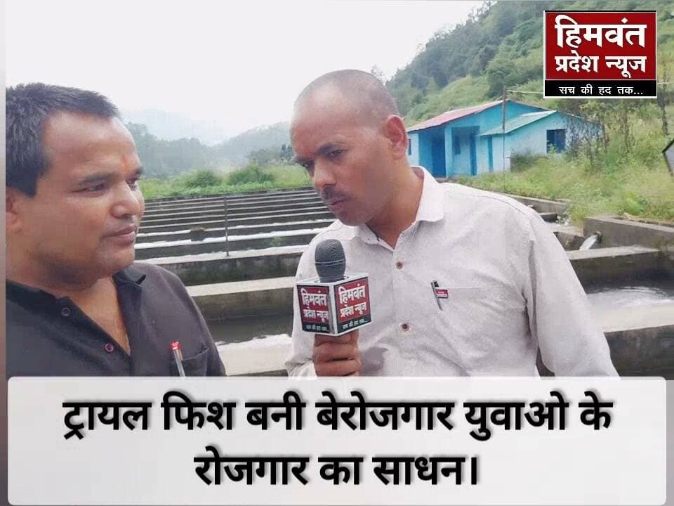 ट्राउड फिश को बनाया रोजगार का जरिया अब कमा रहे है लाखो रूपया।
#ट्राउड #कर्णप्रयाग #देवाल #selfemployed