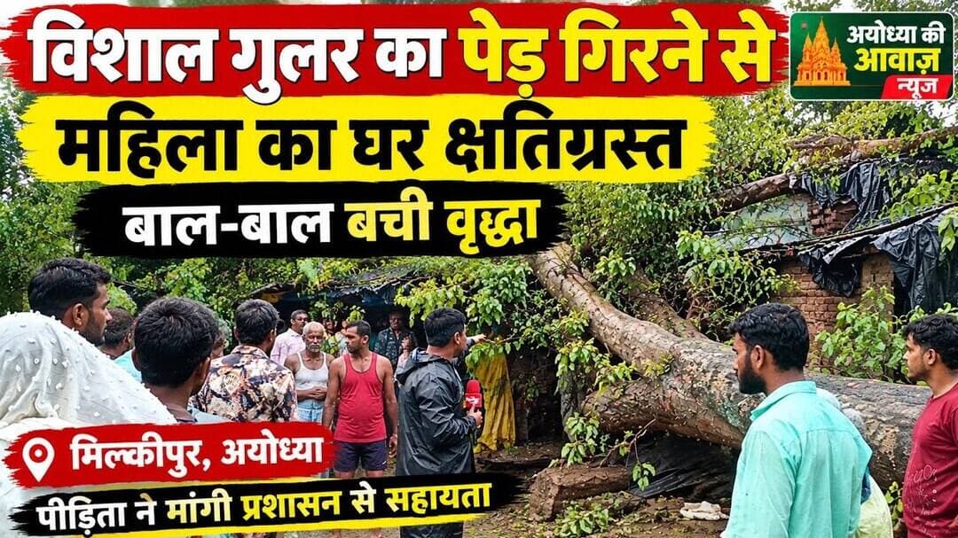 मकान पर गिरा विशाल गुलर का पेड़,उजड़ा गरीब महिला का आशियाना महिला बाल-बाल बची #Ayodhya #Milkipur
