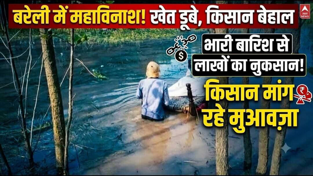 बरेली में दो दिन की भारी बारिश से खेत जलमग्न, किसानों को लाखों के नुकसान की आशंका,मुआब्जा की मांग