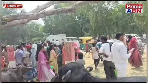 सैदापुर में अमृत सरोवर में डूबने से 13 वर्षीय किशोरी की मौत, भैंस चराने गई थी, पुलिस जांच जारी #ambedkarnagarpolice #viral #followers #dmambedkarnagar #uppolice
