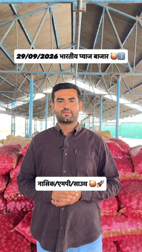 एमपी/नासिक/साउथ प्याज बाजार रिपोर्ट Today indian onion market update 🧅🚜