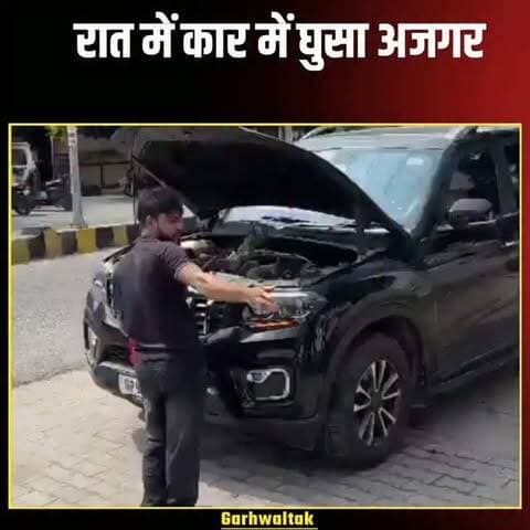 रात के अंधेरे में कार में घुसा अजगर, सुबह मचा हड़कंप
