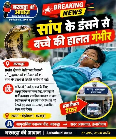 📰 ब्रेकिंग न्यूज़
सांप के डंसने से बच्चे की हालत गंभीर 🐍
बरकट्ठा: प्रखंड क्षेत्र के बेडोकला निवासी सोनू कुमार को शनिवार शाम सांप ने डस लिया। सांप के डंसने के बाद उसकी हालत गंभीर हो गई।
परिजनों ने सोनू को तत्काल सामुदायिक स्वास्थ्य केंद्र, बरकट्ठा में भर्ती कराया। प्राथमिक उपचार के बाद चिकित्सकों ने उसकी गंभीर स्थिति को देखते हुए सदर अस्पताल, हजारीबाग रेफर कर दिया।
📍 स्थान: बेडोकला, बरकट्ठा
🏥 रेफर: सदर अस्पताल, हजारीबाग