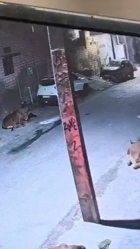 जेलर साहब की गली से सब्जी बेचने वाले का ऑटो-रिक्शा चोरी, CCTV में कैद हुई वारदात! #RajasthanNews #LatestNews #ajmer #cctv