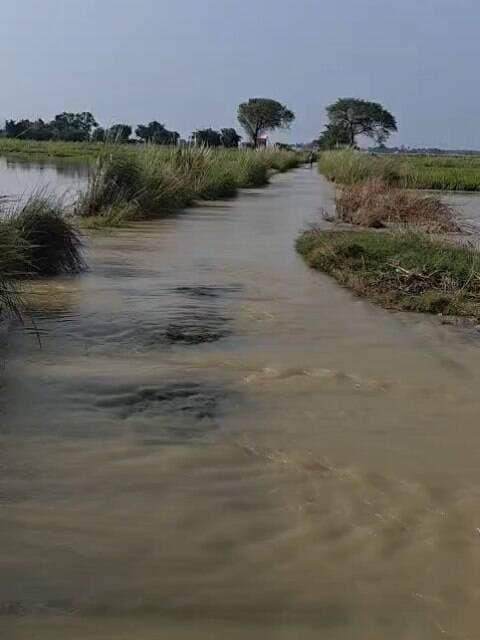 #Breaking_News
#Balrampur ! #उतरौला, राप्ती नदी में आई बाढ़
उतरौला के ग्राम मटयरिया कर्मा, मोहनजोत, पाली पाला, मिलौली बाघाजोत समेत कई गांव व सम्पर्क मार्गों पर भरा बाढ़ का पानी। आपदा मित्र, मोहम्मद नसीम द्वारा बनाया गया मटयरिया कर्मा का विडियो।