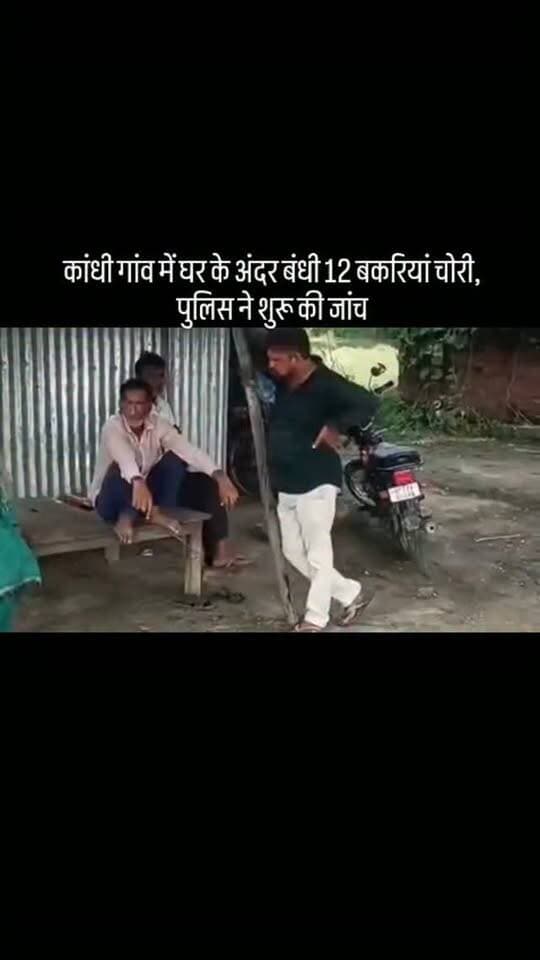 #कांधी गांव में घर के अंदर बंधी 12 बकरियां चोरी, पुलिस ने शुरू की जांच