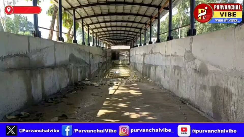 गौरीबाजार का अंडरपास बना जानलेवा जाल, पांच फीट पानी में डूबकर मजदूर की मौत
#deoria DM Deoria