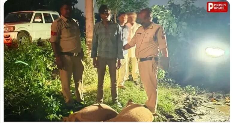 पुलिस ने 36 घंटे में किया चना चोरी का खुलासा, तीन आरोपी गिरफ्तार
अनोखा तीर, हंडिया। हंडिया पुलिस थाना क्षेत्र के ग्राम खेड़ा स्थित वेयरहाउस से चना चोरी के मामले का 36 घंटे के भीतर खुलासा कर दिया है। पुलिस ने कार्रवाई करते हुए तीन आरोपियों को गिरफ्तार किया है। आरोपियों के कब्जे और उनकी निशानदेही पर चोरी किया गया 6 कट्टी चना बरामद किया गया। इसके अलावा वारदात में इस्तेमाल प्लेटिना मोटरसाइकिल भी पुलिस ने जब्त की है।
रात के अंधेरे में वेयरहाउस से चोरी हुआ चना
पुलिस के अनुसार, ग्राम खेड़ा निवासी रूद्रनाथ पटेल ने थाने में शिकायत दर्ज कराई थी। उन्होंने बताया कि 25 सितंबर की रात करीब 2 बजे अज्ञात लोगों ने वेयरहाउस से उनके 6 कट्टी चना चोरी कर लिया। शिकायत मिलने के बाद हंडिया थाने में अपराध क्रमांक 431/2026 के तहत मामला दर्ज कर जांच शुरू की गई।
चना बेचने की फिराक में खड़े थे आरोपी
जांच के दौरान पुलिस टीम को सूचना मिली कि हंडिया में विमलेश्वर आश्रम के सामने दो व्यक्ति प्लेटिना मोटरसाइकिल से टाट की बोरियों में चना लेकर खड़े हैं। दोनों चना बेचने की कोशिश में थे। सूचना मिलते ही पुलिस टीम मौके पर पहुंची और दोनों संदिग्धों को हिरासत में लेकर पूछताछ शुरू की। पूछताछ में संजय पिता पंचम काजले और शंकर पिता बाबूलाल कलम, दोनों निवासी अजनास रैयत, ने अपने साथी बृजेश पिता अमर सिंह कलम के साथ मिलकर खेड़ा के वेयरहाउस से चना चोरी करने की बात स्वीकार की। इसके बाद पुलिस ने बृजेश को भी गिरफ्तार कर लिया।
झाड़ियों से बरामद हुई चने की चार कट्टी
पुलिस ने आरोपी संजय के कब्जे से 2 कट्टी चना बरामद किया। वहीं आरोपी बृजेश की निशानदेही पर खेड़ा के कच्चा रोड स्थित नाले की झाड़ियों से चोरी की गई 4 कट्टी चना बरामद की गई। इसके अलावा पुलिस ने आरोपी शंकर के कब्जे से वारदात में इस्तेमाल प्लेटिना मोटरसाइकिल क्रमांक एमपी 47 एमके 6933 जब्त की है।
तीनों आरोपियों को भेजा गया जेल
पुलिस ने तीनों आरोपियों के खिलाफ आवश्यक कार्रवाई पूरी की और उनका मेडिकल परीक्षण कराया। इसके बाद सभी आरोपियों को न्यायालय में पेश किया गया, जहां से उन्हें जेल भेज दिया गया। पुलिस की इस कार्रवाई से वेयरहाउस से चोरी हुए चने की वारदात का खुलासा हो गया।