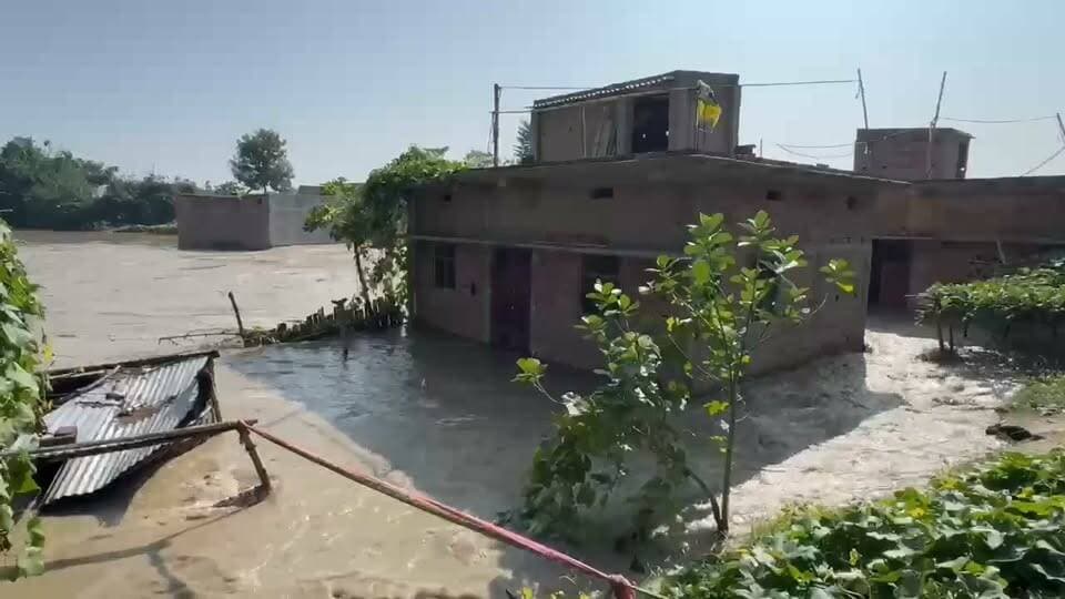 बिहार में फिर उफान पर बाढ़। कई जिलों के बिगड़े हालात। बेतिया, गोपालगंज में रातों-रात सैकड़ों घर और सैकड़ों गांव बाढ़ के पानी में डूबे।
#Bihar #floods