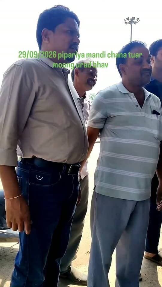 Chana tuar moong urad bhav #viral #mandi #pipariya #india