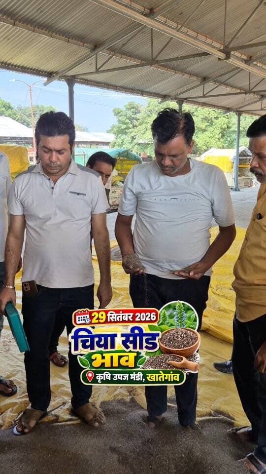 29 सितंबर 2026
🌱 चिया सीड का भाव
कृषि उपज मंडी, खातेगांव