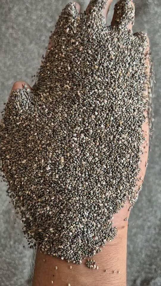 29 सितंबर 2026
🌱 चिया सीड का भाव
कृषि उपज मंडी, खातेगांव