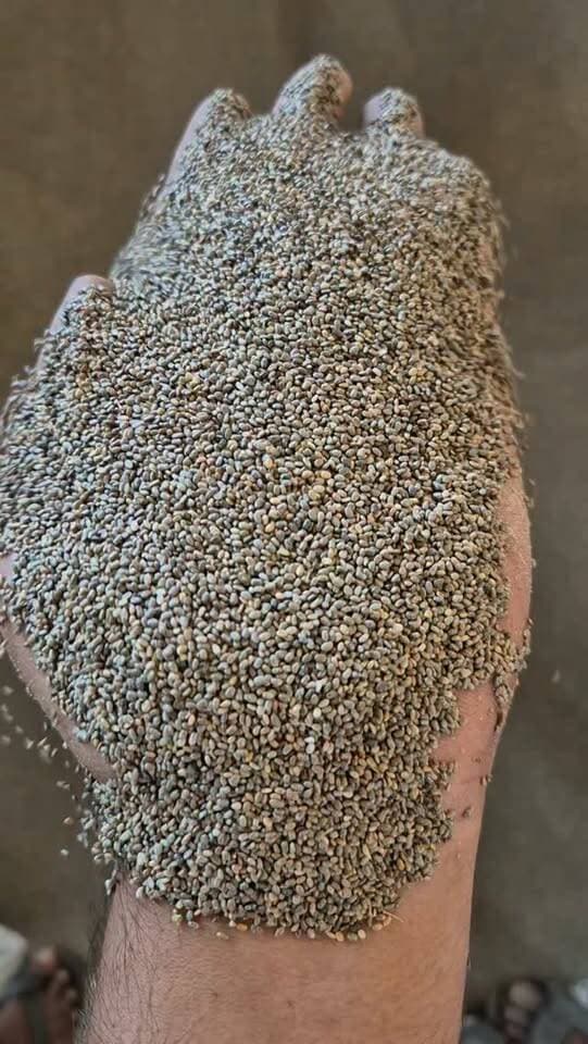 29 सितंबर 2026
🌱 चिया सीड का भाव
कृषि उपज मंडी, खातेगांव