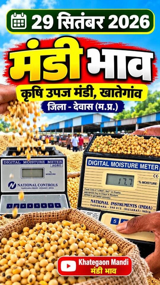 29 सितंबर 2026 | मंडी भाव | कृषि उपज मंडी खातेगांव, जिला-देवास (म.प्र.) Khategaon Mandi • मंडी भाव khategaonwaale.com