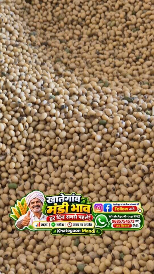 29 सितंबर 2026 | मंडी भाव | कृषि उपज मंडी खातेगांव, जिला-देवास (म.प्र.) Khategaon Mandi • मंडी भाव