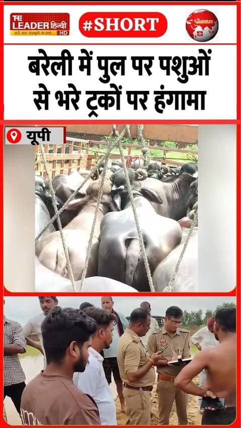 बजरंग दल के कार्यकर्ताओं ने पकड़े |29 Sep 2026 |#bareilly #upnews #police #bajrangdal #truck #shorts