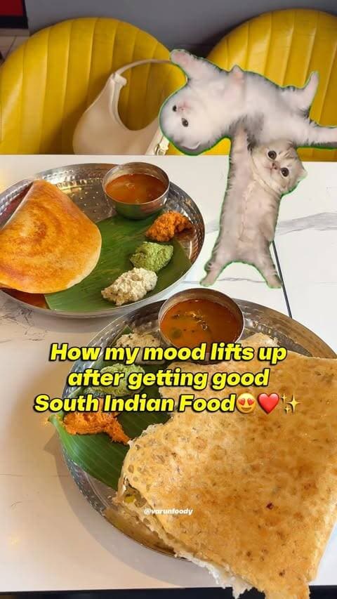 South Indian Food is love ❤️🤌
.
.
.
.
Follow Us @varunfoody ❤️ 🤤⚠️
.
Follow Us @varunfoody 🔥
.
Comment & Share 📍❤️❤️
.
South indian food lover , masala dosa , south indian food meme , cat meme , cat dancing , food lover , food meme , delhi food spots , food hangout places , rawa dosa , rava dosa , idly vada ,good south indian food
.
Hashtag:-
#southindianfood #northindianfood #masaladosa #streetfood