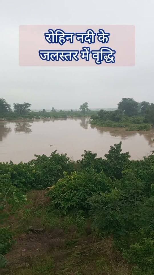 🚨 महराजगंज ब्रेकिंग | रोहिन नदी के बढ़ते जलस्तर से किसान-ग्रामीण चिंतित
🌧️ तीन दिनों की लगातार बारिश के बाद रोहिन नदी का जलस्तर लगातार बढ़ रहा है। सदर ब्लॉक क्षेत्र के आसपास के गांवों में किसानों और ग्रामीणों की चिंता बढ़ गई है।
📍 त्रिमुहानी घाट पुल पर लगे वाटर लेवल मॉनिटरिंग यंत्र और मीटर में दर्ज आंकड़े नदी के बढ़ते जलस्तर की तस्वीर बयां कर रहे हैं।
किसानों अशोक, साधूशरण, मंतोष, राम हरख सिंह, किशोर प्रसाद, सुरेश, अंश बाबू, मनोहर लाल समेत अन्य किसानों ने चिंता जताते हुए कहा कि बारिश और नदी का जलस्तर इसी तरह बढ़ता रहा तो खेतों में खड़ी फसलों को नुकसान हो सकता है।
⚠️ ग्रामीणों ने प्रशासन से नदी के जलस्तर पर लगातार निगरानी रखने और संभावित जलभराव/बाढ़ की स्थिति से निपटने के लिए समय रहते जरूरी कदम उठाने की मांग की है।
Public maharajganj
#PublicMaharajganj #Maharajganj #RohinRiver #महराजगंज #रोहिन_नदी #BreakingNews #UPNews #MaharajganjNews #RainAlert #FloodAlert #FarmersNews #NewsUpdate