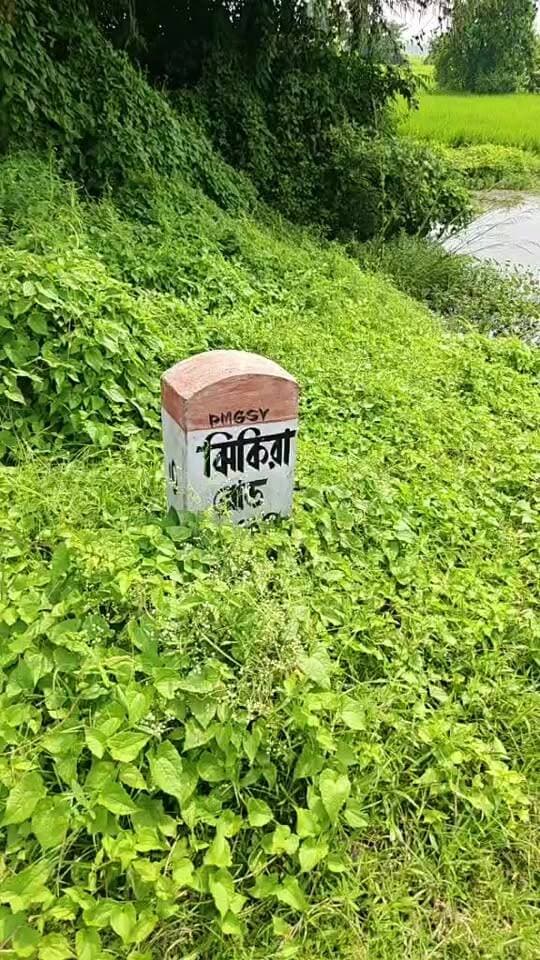 ধান জমিতে মাত্রাতিরিক্ত কীটনাশক ও সার ব্যবহার ল্যাঠা, শিং, কই মাছের বংশবৃদ্ধি কমাচ্ছে |