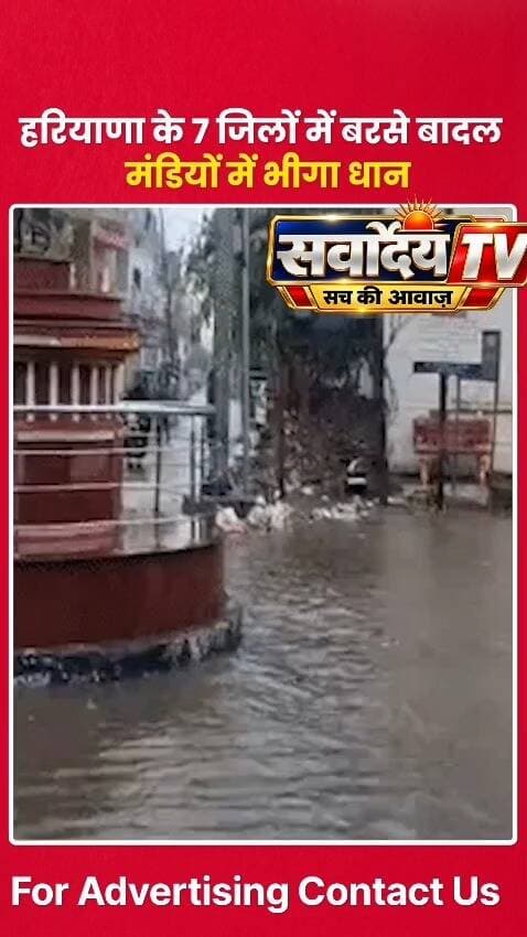 हरियाणा में अचानक बदला मौसम: 7 जिलों में तेज बारिश, मंडियों में भीगा धान! ⛈️🌾
#HaryanaWeather #HaryanaRain #FarmersNews #WeatherUpdate #HaryanaNews #MandiNews #CropDamage #RainAlert #SarvodayaTV #LatestNews