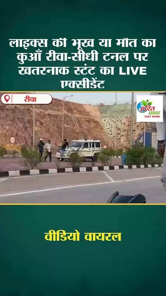 लाइक्स की भूख या मौत का कुआँ रीवा-सीधी टनल पर खतरनाक स्टंट का LIVE एक्सीडेंट
असंतुलित होकर सड़क पर गिरा युवक; सोशल मीडिया रील के चक्कर में फिर दांव पर लगी जान
