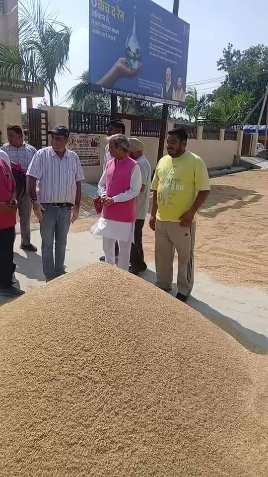 बाबैन अनाज मंडी का सीएम हाउस के प्रभारी कैलाश सैनी ने लिया जायजा,किसान को किया सम्मानित