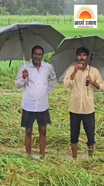 बारिश से परेशान किसान भाई यो इस वीडियो के माध्यम से सहायता प्राप्त करें और आगे अपने साथियों तक शेयर