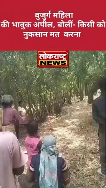जंगली हाथी ‘रामलाल’ से बुजुर्ग महिला की भावुक अपील, बोलीं- किसी को नुकसान मत पहुंचाना