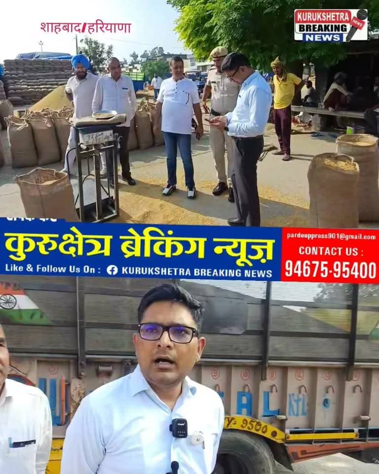 शाहाबाद में धान की सरकारी खरीद शुरू, एसडीएम ने मंडी का किया निरीक्षण