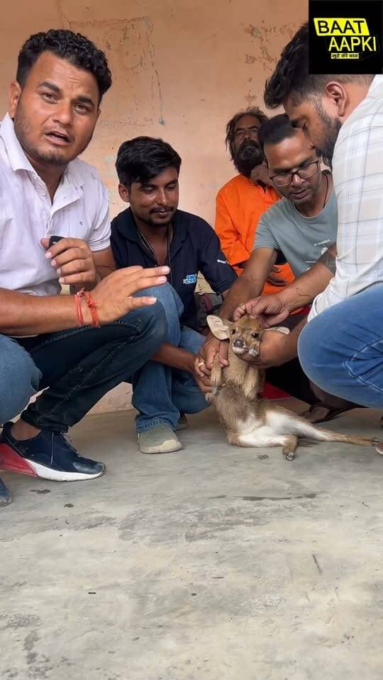 नदी में बहकर पहुंचा हिरण का बच्चा, ग्रामीणों की मदद से बाबा ने बचाई जान
