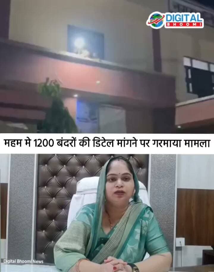 रोहतक के महम मे 1200 बंदरों की डिटेल मांगने पर गरमाया मामला, चेयरमैन के बयान पर सामाजिक कार्यकर्ता ने उठाए सवाल