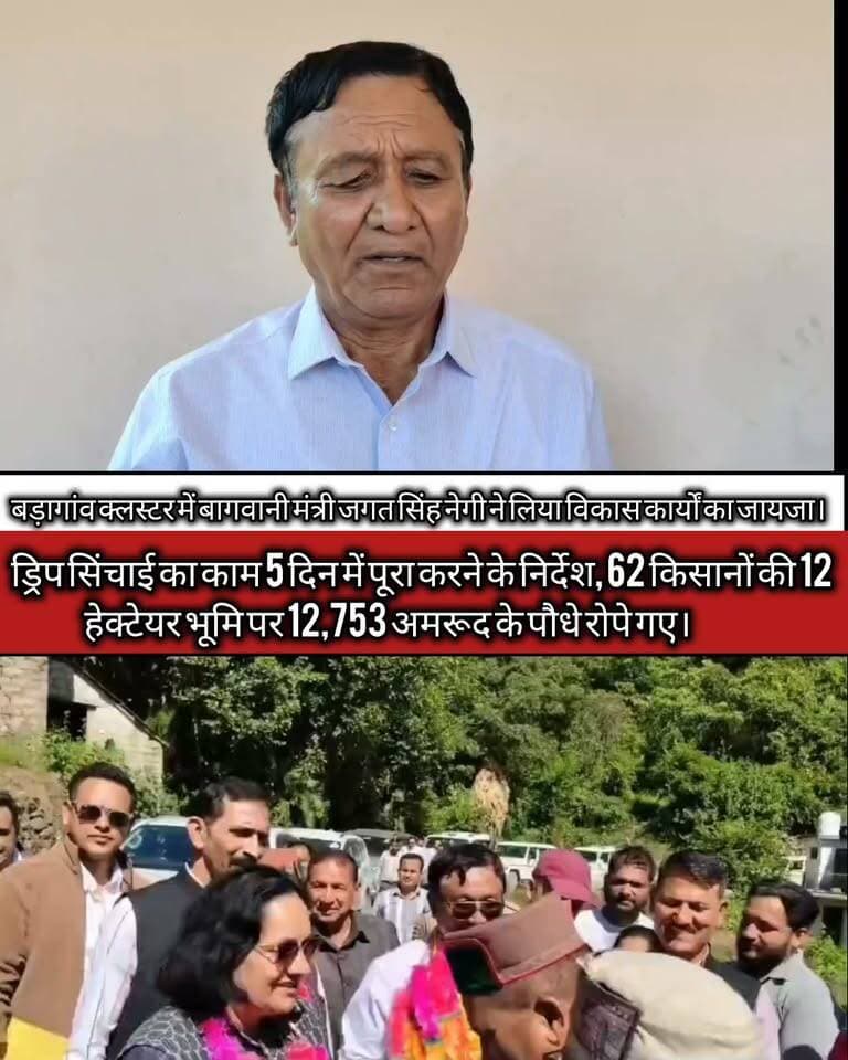 बड़ागांव पहुंचकर बागवानी मंत्री जगत सिंह नेगी ने परखी एचपी शिवा परियोजना की प्रगति।
किसानों की आय बढ़ाने पर जोर, ड्रिप सिंचाई का काम जल्द पूरा करने के दिए निर्देश।