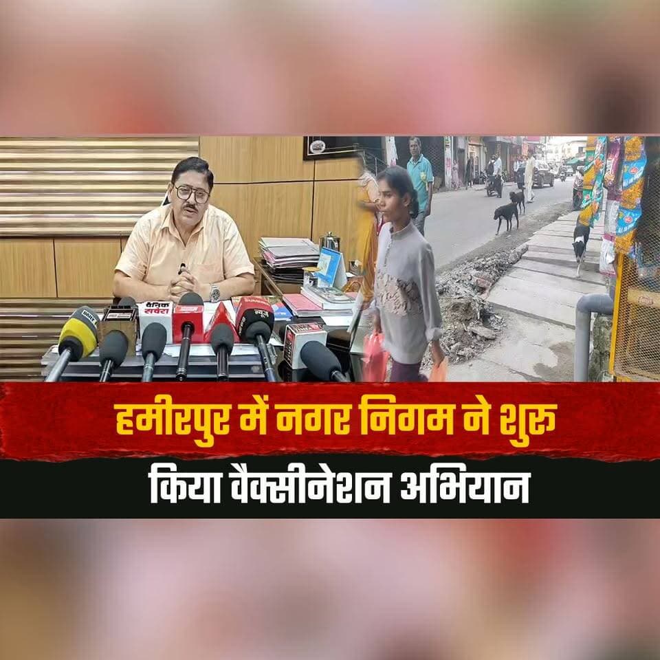 हमीरपुर में नगर निगम ने शुरू किया वैक्सीनेशन अभियान
2 माह में सभी स्ट्रीट डॉग्स को लगेगा टीका