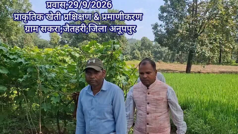 आज मैने प्रवास किया अनूपपुर जिले की अमरकंटक की वादियों में बसा वन क्षेत्र के ग्राम सकरा(जैतहरी) में
ग्राम के किसान जंगल की बहती नदी के पानी का उपयोग कर खेती कर रहे है।
इन किसानों की खेती सम्बंधित समस्याओं का समाधान किया,प्राकृतिक खेती प्रमाणीकरण का प्रशिक्षण दिया और करेला,लौकी, गिलकी,तोरई,कद्दू में थ्री-जी, फोर-जी कटिंग करके हर पत्ते पर फल लेने की विधि सिखाई