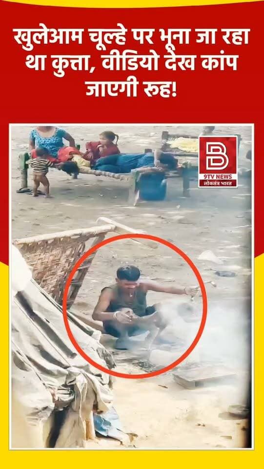 क्रूरता की हदें पार : खुलेआम चूल्हे पर भूना जा रहा था जानवर, वीडियो देख कांप जाएगी रूह!
#AgraNews #ViralVideo #AgraViral #instareels
#instaviral
खबर : आगरा के सैंयान थाना क्षेत्र स्थित पशु हाट मैदान से खुलेआम चूल्हे पर संदिग्ध जानवर को भूनने का वीडियो सोशल मीडिया पर वायरल होने के बाद पुलिस ने जांच शुरू कर दी है।
📢 डिस्क्लेमर (Disclaimer)
यह वीडियो सोशल मीडिया पर आधारित है। वीडियो में दिखाए गए दृश्य, बयान एवं तथ्यों/दावों का चैनल से कोई संबंध नहीं है। वीडियो कब का है, इसकी पुष्टि नहीं हुई है। किसी भी कानूनी/पुलिस कार्रवाई के लिए चैनल जिम्मेदार नहीं होगा। समाचार सामाजिक संचारित एवं प्रशासन को सचेत करने के लिए है।