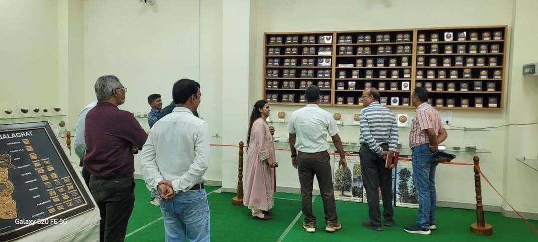 #बालाघाट
राजा भोज कृषि महाविद्यालय में राष्ट्रीय-अंतरराष्ट्रीय वैज्ञानिकों ने अनुसंधान परियोजनाओं का किया निरीक्षण
IRRI फिलीपींस के वैज्ञानिक सहित विशेषज्ञ दल ने चावल, दलहन एवं मशरूम अनुसंधान कार्यों का लिया जायजा
राजा भोज कृषि महाविद्यालय, बालाघाट में मंगलवार को राष्ट्रीय एवं अंतरराष्ट्रीय स्तर के वैज्ञानिकों का वैज्ञानिक भ्रमण एवं अनुसंधान परियोजनाओं के निरीक्षण कार्यक्रम का आयोजन किया गया। जवाहरलाल नेहरू कृषि विश्वविद्यालय, जबलपुर के निदेशालय अनुसंधान सेवाएं के निदेशक डॉ. ए.के. जैन के नेतृत्व में पहुंचे वैज्ञानिक दल ने महाविद्यालय में संचालित विभिन्न अनुसंधान परियोजनाओं, प्रक्षेत्रों, प्रयोगशालाओं एवं शैक्षणिक सुविधाओं का अवलोकन किया।
वैज्ञानिक दल में अंतरराष्ट्रीय चावल अनुसंधान संस्थान (IRRI), फिलीपींस के वैज्ञानिक डॉ. जौहर अली, जवाहरलाल नेहरू कृषि विश्वविद्यालय के वैज्ञानिक डॉ. आशीष गुप्ता एवं डॉ. शिवरामकृष्णन शामिल रहे। संपूर्ण भ्रमण का आयोजन एवं समन्वय महाविद्यालय के अधिष्ठाता डॉ. घनश्याम देशमुख के मार्गदर्शन में किया गया।
चावल और दलहन अनुसंधान प्रक्षेत्रों का अवलोकन
वैज्ञानिक दल ने महाविद्यालय के विभिन्न प्रक्षेत्रों में संचालित अनुसंधान गतिविधियों का विस्तृत निरीक्षण किया। इस दौरान डॉ. उत्तम बिसेन द्वारा संचालित चावल अनुसंधान प्रक्षेत्र में पहुंचकर वैज्ञानिकों ने चावल की फसल में किए जा रहे अनुसंधान एवं प्रयोगात्मक गतिविधियों की जानकारी ली। फसल विविधीकरण और नवीन कृषि तकनीकों पर भी वैज्ञानिकों ने चर्चा की।
इसके बाद डॉ. प्रतिभा बिसेन, डॉ. अतुल श्रीवास्तव एवं डॉ. राजू पांसे द्वारा संचालित विभिन्न दलहनी फसलों के अनुसंधान प्रक्षेत्रों का निरीक्षण किया गया। वैज्ञानिकों ने दलहनी फसलों में किए जा रहे अनुसंधान, जर्मप्लाज्म संरक्षण, फसल विविधीकरण एवं उत्पादन संबंधी गतिविधियों की जानकारी प्राप्त की।
मशरूम उत्पादन इकाई भी देखी
वैज्ञानिक दल ने डॉ. श्रद्धा करचो एवं डॉ. रमेश अमूले द्वारा संचालित मशरूम उत्पादन इकाई का भी निरीक्षण किया। यहां मशरूम उत्पादन तथा प्रशिक्षण के लिए संचालित गतिविधियों की जानकारी ली गई। वैज्ञानिकों ने अनुसंधान को व्यावहारिक कृषि, स्वरोजगार तथा विद्यार्थियों के कौशल विकास से जोड़ने के प्रयासों को महत्वपूर्ण बताया।
प्रयोगशालाओं और शैक्षणिक सुविधाओं का किया निरीक्षण
भ्रमण के दौरान वैज्ञानिकों ने महाविद्यालय के संग्रहालय, प्रयोगशालाओं, कक्षाओं एवं अन्य शैक्षणिक सुविधाओं का भी अवलोकन किया। उन्होंने उपलब्ध आधारभूत संरचना और विद्यार्थियों के लिए संचालित शैक्षणिक एवं अनुसंधान गतिविधियों की जानकारी प्राप्त की।
वैज्ञानिकों ने विद्यार्थियों से संवाद करते हुए कृषि अनुसंधान, नवाचार, आधुनिक कृषि तकनीकों और कृषि क्षेत्र में उपलब्ध व्यावसायिक अवसरों के संबंध में मार्गदर्शन दिया। विद्यार्थियों ने वैज्ञानिकों से हुए संवाद को ज्ञानवर्धक एवं प्रेरणादायी बताया।
छात्रावास की आवश्यकता पर भी हुई चर्चा
भ्रमण के दौरान महाविद्यालय में छात्राओं के लिए नवीन छात्रावास की आवश्यकता एवं मांग को लेकर भी चर्चा हुई। वैज्ञानिक दल को छात्राओं के लिए छात्रावास सुविधा की आवश्यकता से अवगत कराया गया तथा इस दिशा में उपलब्ध संभावनाओं एवं आवश्यकताओं पर विचार-विमर्श किया गया।
इसके साथ ही वैज्ञानिक दल ने महाविद्यालय परिसर में नवनिर्मित आवासीय क्वार्टर्स का निरीक्षण कर वहां उपलब्ध सुविधाओं एवं व्यवस्थाओं का जायजा लिया।
अनुसंधान गतिविधियों की सराहना
वैज्ञानिक दल ने महाविद्यालय में संचालित विभिन्न राष्ट्रीय एवं अंतरराष्ट्रीय अनुसंधान गतिविधियों और परियोजनाओं का अवलोकन करते हुए उनकी सराहना की। अधिष्ठाता डॉ. घनश्याम देशमुख के मार्गदर्शन में शिक्षण, अनुसंधान एवं प्रायोगिक गतिविधियों के क्षेत्र में किए जा रहे प्रयासों की भी प्रशंसा की गई।
इस दौरान राष्ट्रीय एवं अंतरराष्ट्रीय संस्थानों के साथ समन्वय के माध्यम से अनुसंधान गतिविधियों को और सुदृढ़ करने की संभावनाओं पर भी चर्चा हुई।
कार्यक्रम में डॉ. विक्रम गौड़, डॉ. सुरेंद्र राय, डॉ. ऋषिकेश ठाकुर सहित महाविद्यालय के समस्त प्राध्यापक, वैज्ञानिक, अधिकारी एवं कर्मचारी उपस्थित रहे। वैज्ञानिकों के भ्रमण से विद्यार्थियों एवं शोधकर्ताओं को अंतरराष्ट्रीय स्तर के विशेषज्ञों से सीधे संवाद करने और नवीनतम कृषि अनुसंधान गतिविधियों की जानकारी प्राप्त करने का अवसर मिला।
#CMMadhyaPradesh
#JansamparkMP
#minmpkrishi